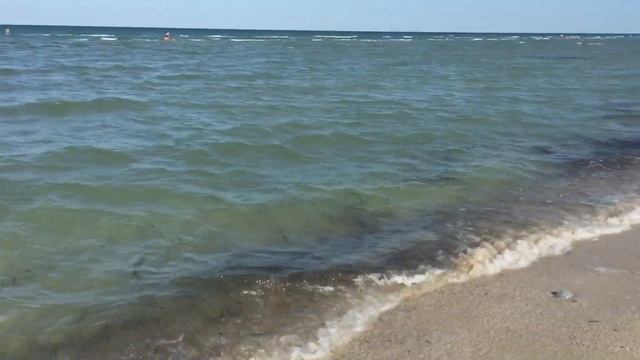 11.07.2020 Влог Вылупление перепелов. Немного моря...В поисках конструктора. смотреть онлайн