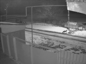 А кур нет .....!!!