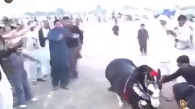 Лошадиная лезгинка смотреть онлайн