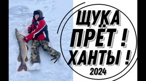 10 ДНЕЙ РЫБАЛКИ В ХАНТАХ! ЩУКА НА ЖЕРЛИЦЫ! ПЕРЕПАД ТЕМПЕРАТУРЫ С -33 ДО +7.