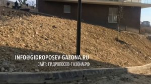 Гидропосев газона в г. Анапа, Краснодарский край - ЖК Анаполис жидкий газон