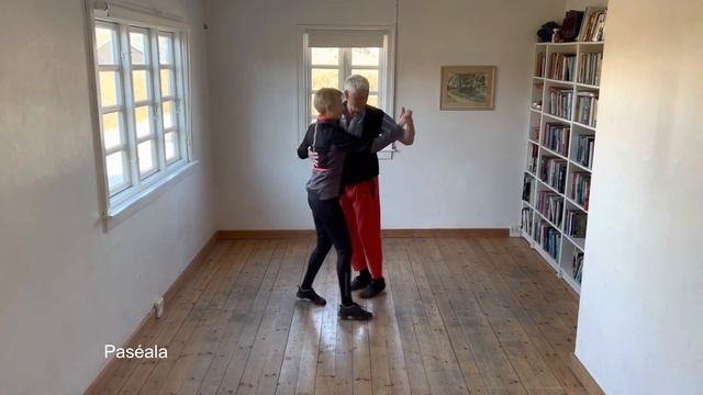 15. Paséala Continuado. Cuban Salsa. Rueda de Casino. Social move. смотреть онлайн