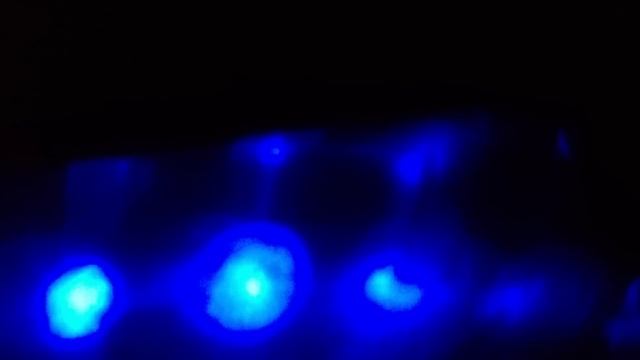 4D-EFFEKT BILVINYL MED DISCOLAMPA смотреть онлайн