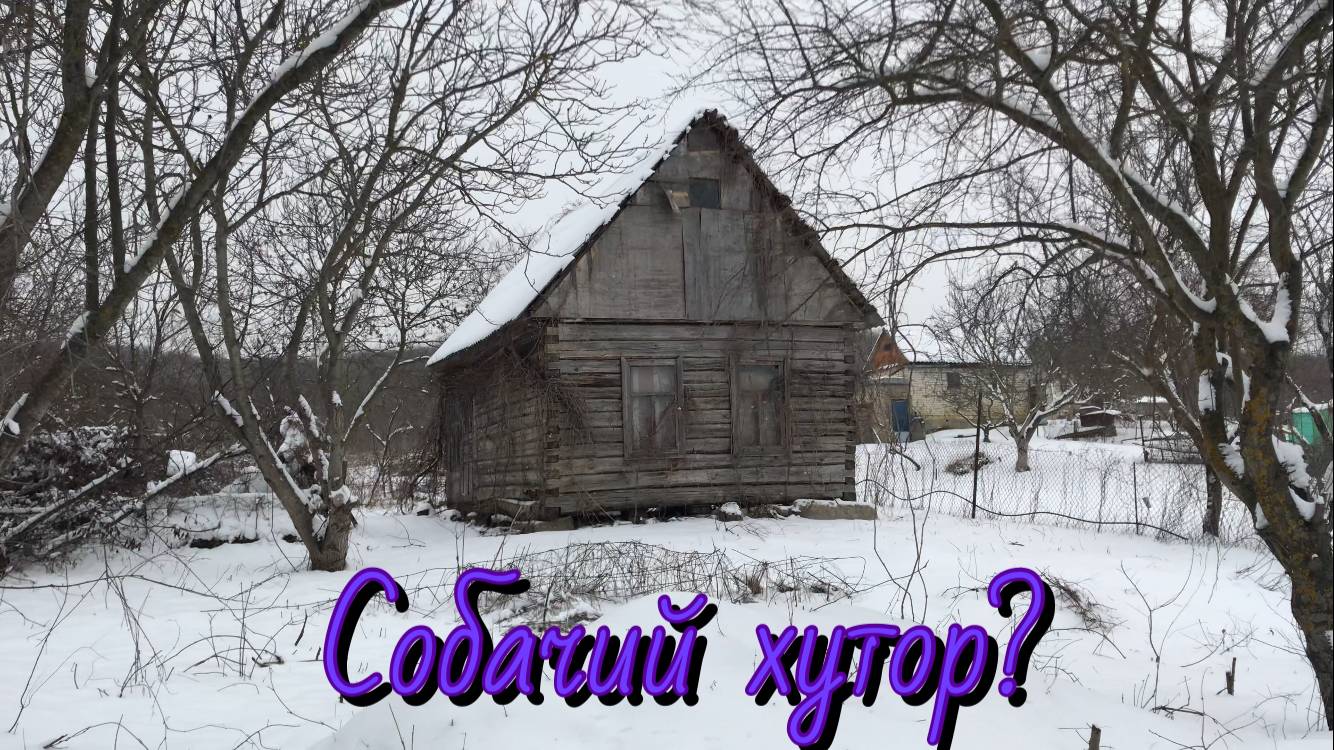 Собачий хутор.