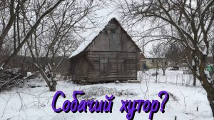 Собачий хутор.