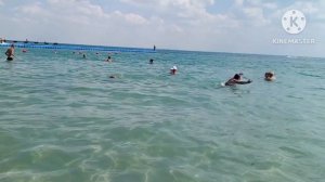 VLOG с моря. Ужалила медуза...