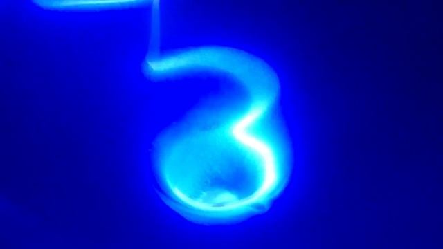 Couch Jackets ~ Oh Opossum, My Opossum (Lyric Video) смотреть онлайн