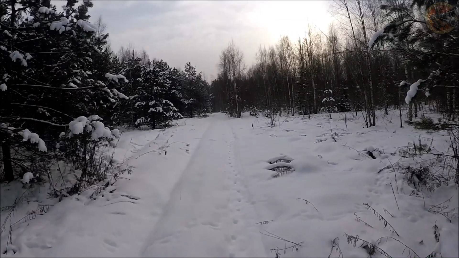 Охота на куницу. Закрыл два коротких путика (Будни охотника и рыбака) смотреть онлайн