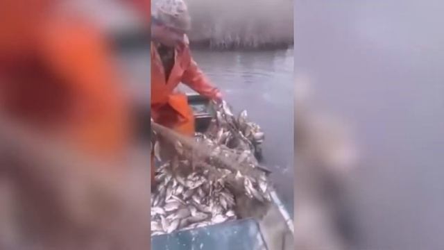 Поехал старик за рыбкой! смотреть онлайн