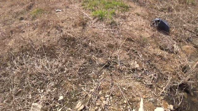 Охота с рогаткой закрытие сезона смотреть онлайн