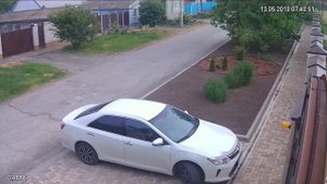 Воровство кустов в Будёновске