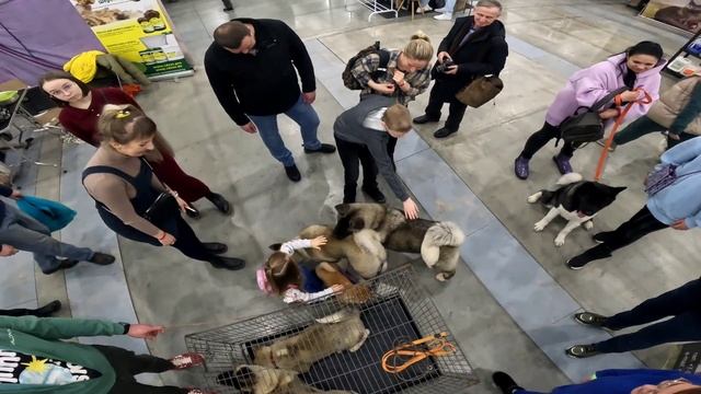 экспофорум 22230225.mp4