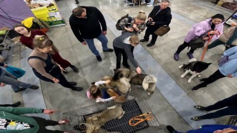 экспофорум 22230225.mp4