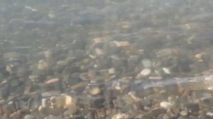 Очамчира. Вода в море чистая, пляж тоже.