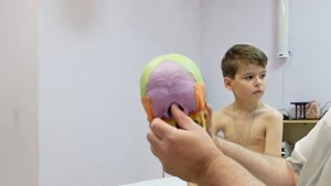 СДВГ, носовые кровотечения и головные боли. Как избавиться! Вариант лечения остеопата Андрушко