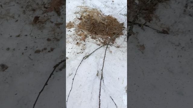 поиск старого поселения часть 1