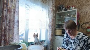 Работаем с дровами ,топим печь ,прошлась со стабилизатором.