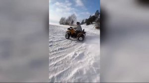 квадрики