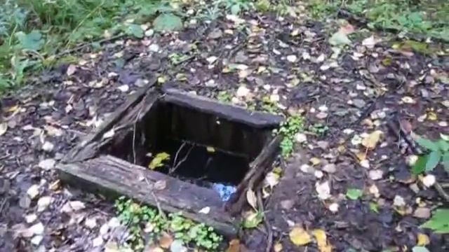 Звуки природы смотреть онлайн