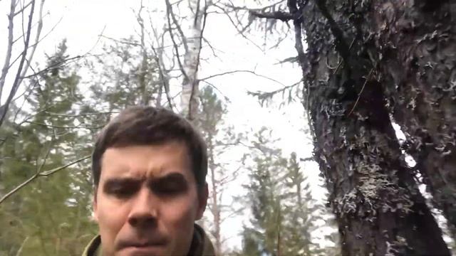 Пробую воду из ручья и прогулка по лесу! смотреть онлайн