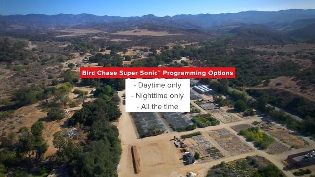 How to Program the Bird Chase Super Sonic™ - IB50 (Sound Bird Deterrent) Bird B Gone Products смотреть онлайн
