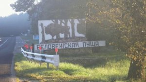 Беловежская пуща/В гостях у Белорусского деда Мороза