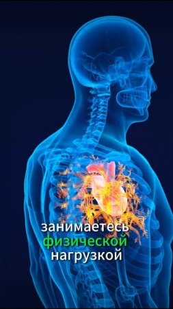 Ваше Сердце – Это Мощный Мотор! Вы Должны Это Знать!