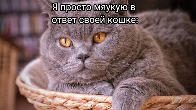 Выходит FNAF 9 + мем для шаблонов (мем троллфейс) смотреть онлайн