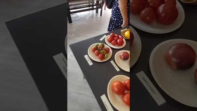 La tomatina. Tallinn 2022 смотреть онлайн