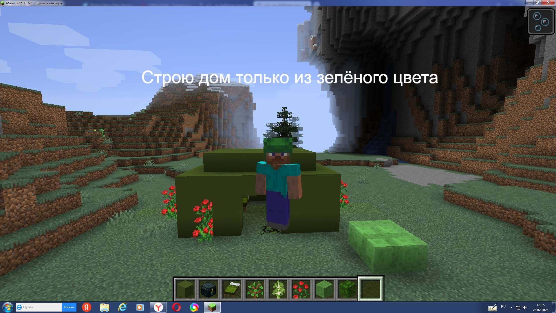 Строю дом только из зелёного цвета