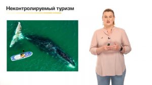 Опасные воды: современные угрозы морским млекопитающим