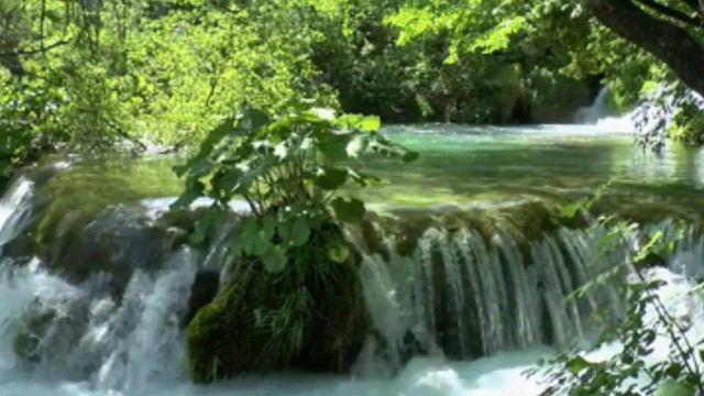 Музыка природы, пение птиц, лес, речки для расслабление души. смотреть онлайн