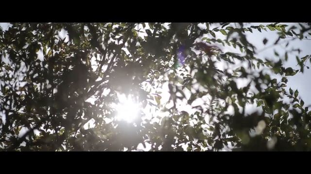 Свадьба Абай & Айдана 16.09.2017 смотреть онлайн