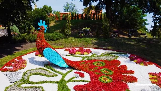 Співоче поле - У Всесвіті Марії Примаченко смотреть онлайн