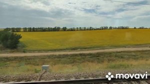 Под стук колёс....Лето 21.