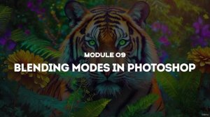 49 - Module Introduction
