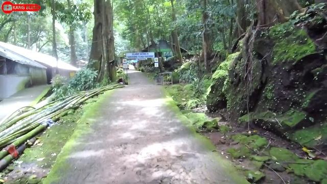 SITU CIPADUNG !! Patilasan PRABU SILIWANGI !! PAJAJAR MAJALENGKA @jejakjournal смотреть онлайн