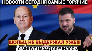 Шольц Всего Лишь Одним Словом Поставил на Место Зеленского! В Киеве Упали