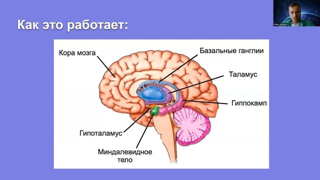 Страх публичных выступлений. Вебинар. Полная версия