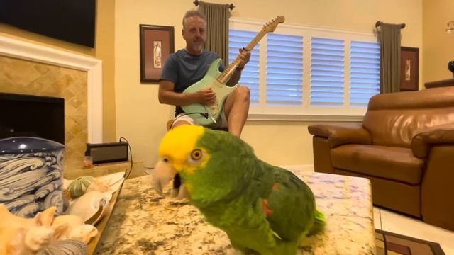 Sound Of Silence смотреть онлайн