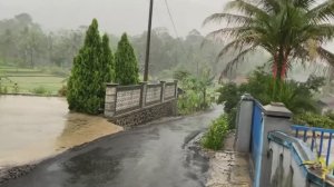 Сильный дождь и раскаты грома в Индонезийской деревне. Прогулка под дождем. Звуки дождя для сна.