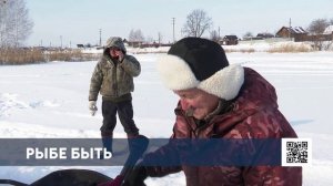 В Нижнекамском районе водоемы насыщают кислородом для спасения рыбы