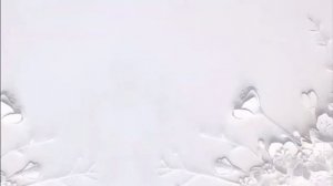 Мархаба Сәби - Ғасырлық мұң минусовка текст