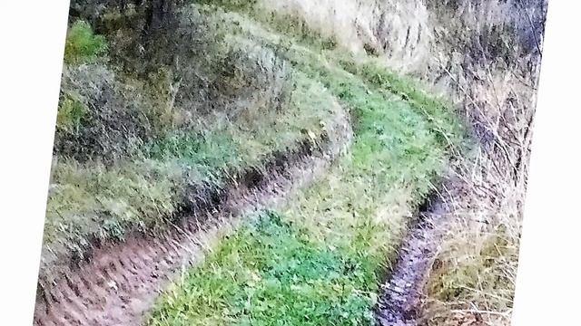 Пейзаж Осень 3 смотреть онлайн