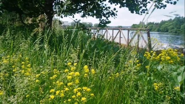 День Троицы 3 06 2023 г Пенза смотреть онлайн