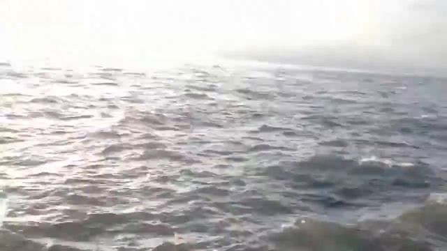 закрытие купального сезона -2