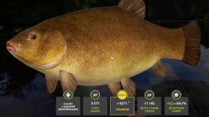 Трофей линь на медном Русская рыбалка 4