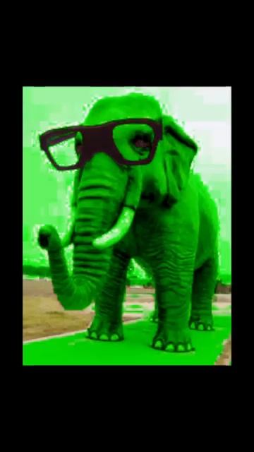 Пожалуй без путешествий обойдусь смотреть онлайн