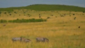 "Экспромт" ~ Владимир Кожанчиков