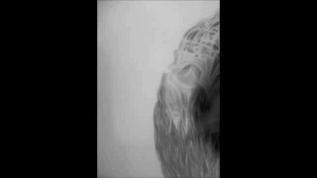 Jeremy Lee Renner 2 - drawing by Yana Makarova (speed process) смотреть онлайн